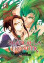 Shangri - La Frontier Vol 13 - Cozy Manga